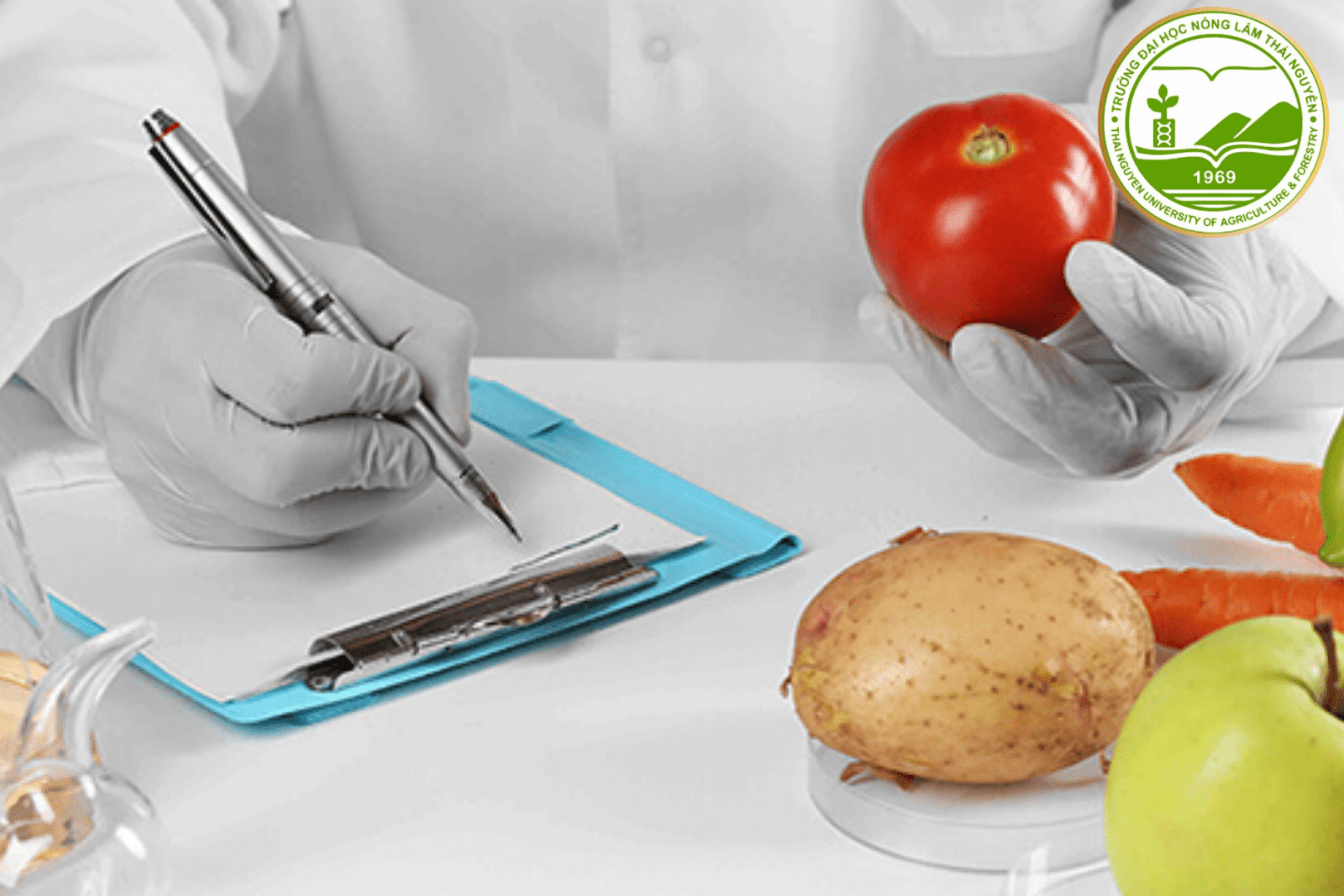 Top C C Ng Nh Ngh Hot Trong T Ng Lai