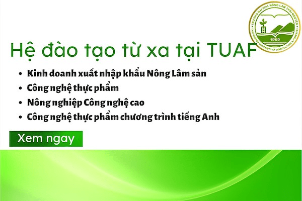 kinh doanh xuất nhập khẩu là làm gì