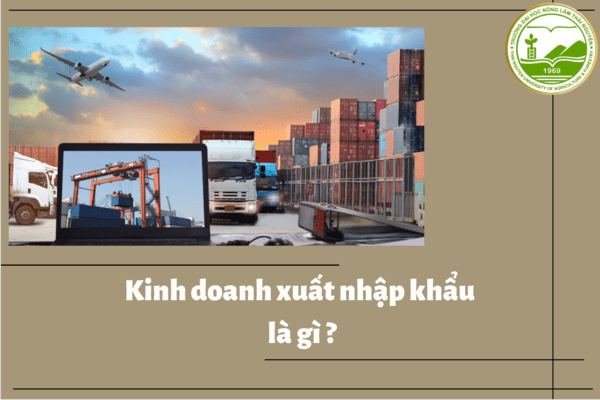 kinh doanh xuat nhap khau la lam gi