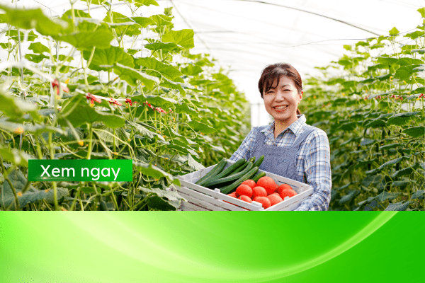 nông nghiệp công nghệ cao là gì