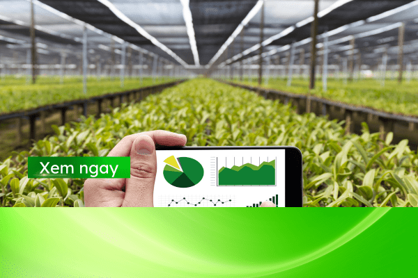 nông nghiệp công nghệ cao ở Việt Nam