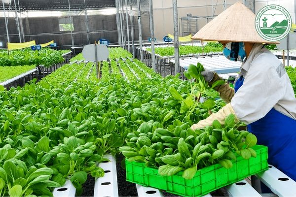 hiệp hội nông nghiệp hữu cơ việt nam