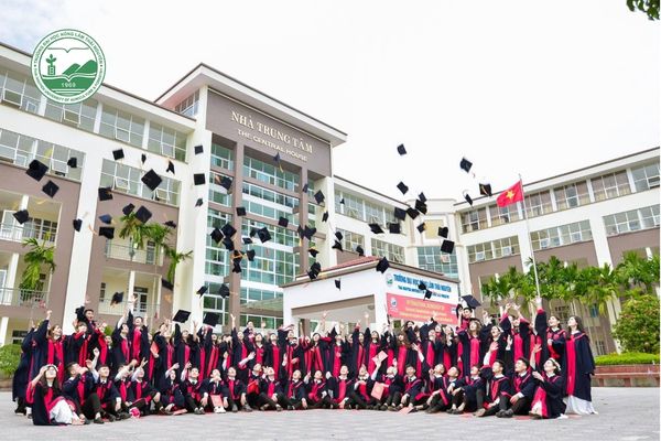 Hệ đào tạo chính quy là gì