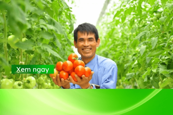 mô hình nông nghiệp công nghệ cao