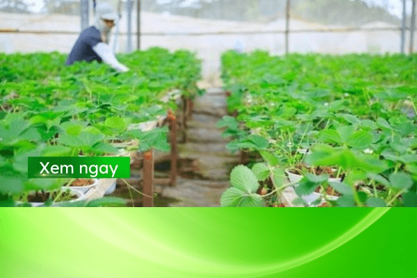 nền nông nghiệp hiện đại thế giới