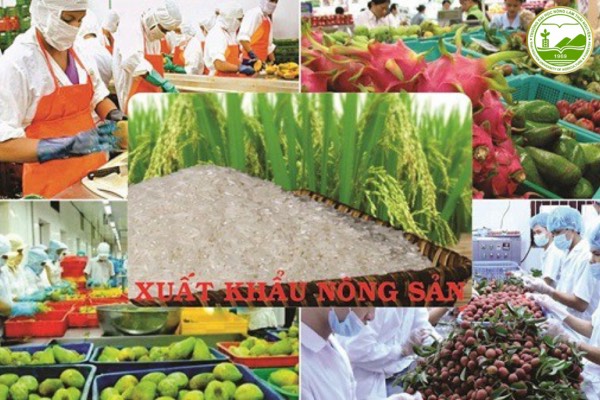 hiep hoi xuat khau nong san viet nam