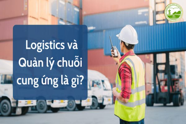 nganh logistics diem chuan 2022