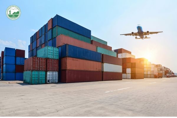 Xuất khẩu nông sản chuyển đổi từ lượng sang chất