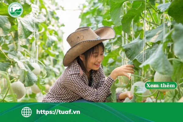 hoc nong nghiep cong nghe cao ra lam gi