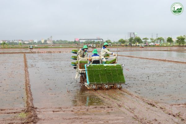 dac diem nong nghiep cong nghe cao