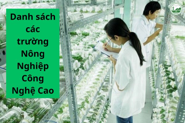 danh sach cac truong dao tao nong nghiep cong nghe cao
