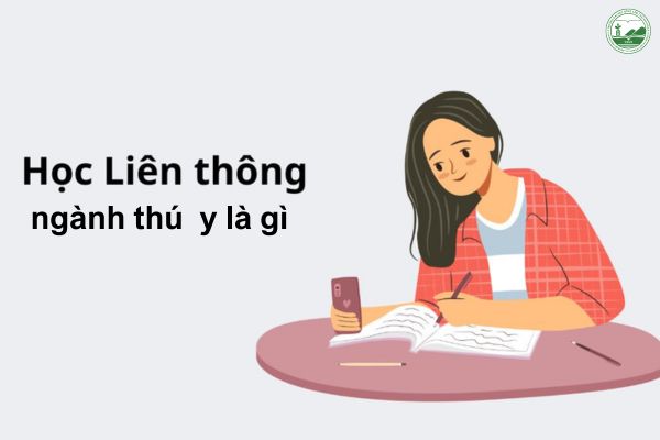 hoc lien thong thu y la gi