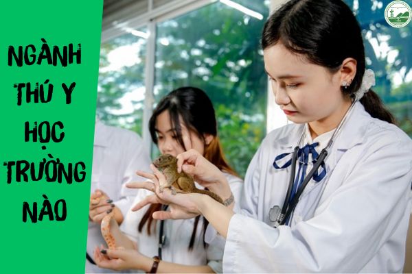 nganh thu y học truong nao