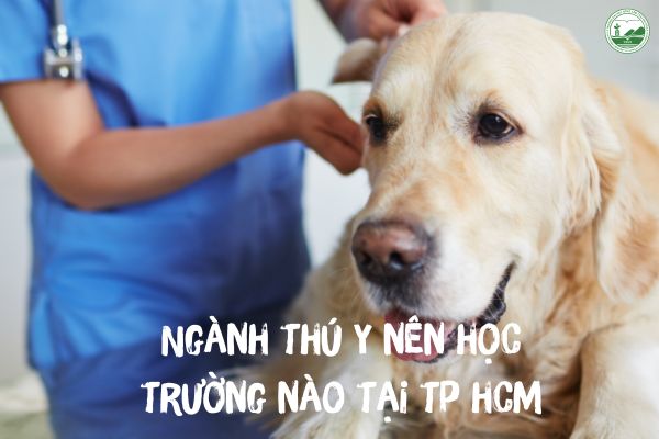 nganh thu y hoc truong nao tai ha noi