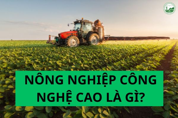 nong nghiep cong nghe cao la gi