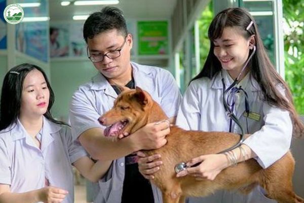 tieu chi lua chon nganh thu y