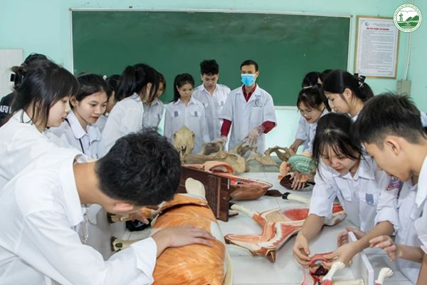 tieu chi lua chon truong thu y