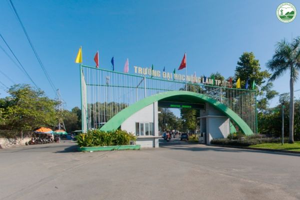truong dai hoc nong lam tp hcm