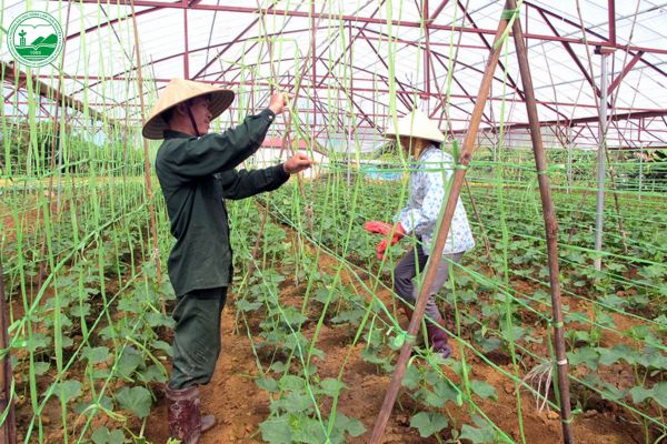 chuyen nganh pho bieng trong nong nghiep