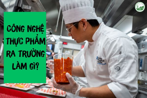 hoc cong nghe thuc pham ra lam gi
