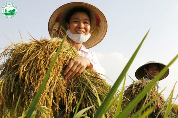 giu muc luong thuc day du