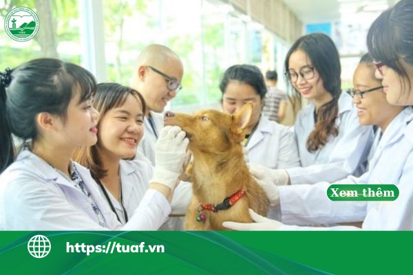 hoc trung cap thu y online