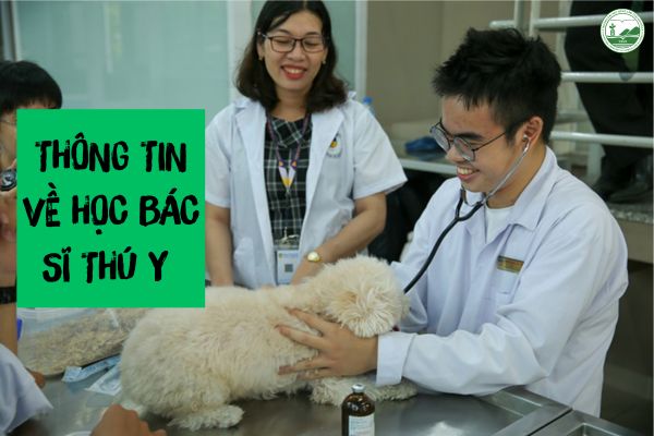 hoc bac si thu y