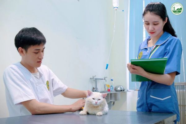 hoc phi nganh bac si thu y