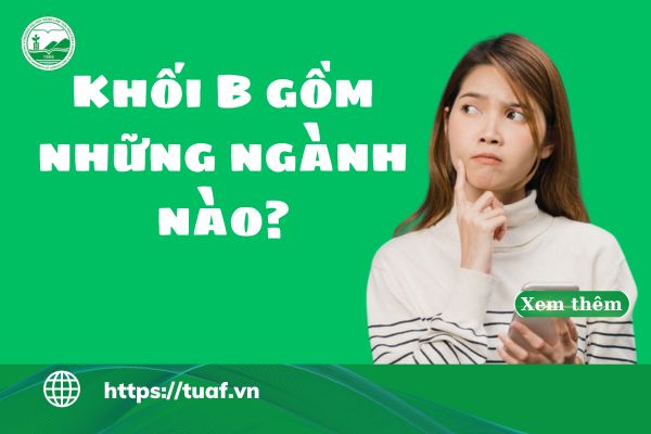 khoi b gom nhung nganh nao
