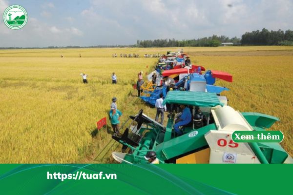 ky thuat nong nghiep