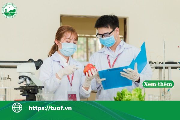 nen hoc cong nghe sinh hoc hay nong nghiep cong nghe cao