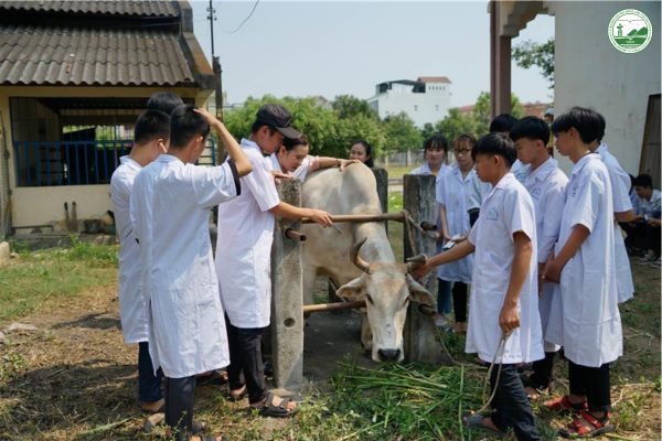 nganh chan nuoi thu y lam gi