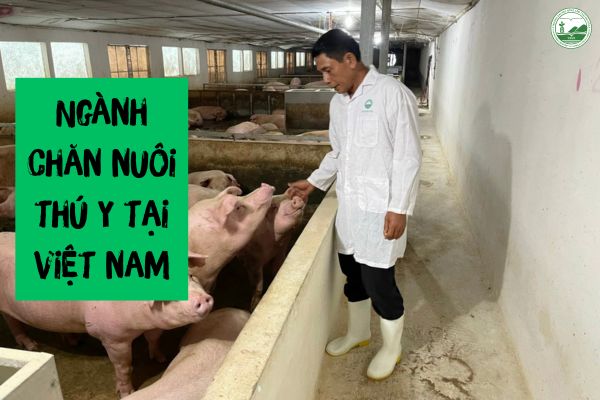 nganh chan nuoi thu y