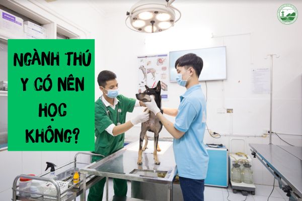nganh thu y co nen hoc khong