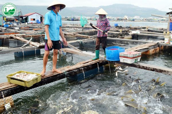 nuoi trong thuy san