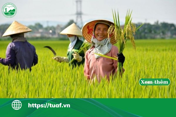 vai tro nong nghiep