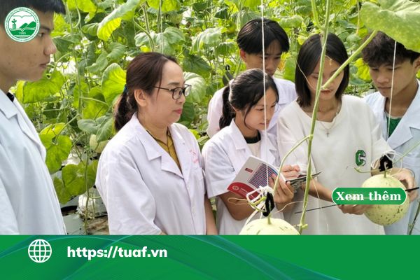 van bang 2 nong nghiep cong nghe cao