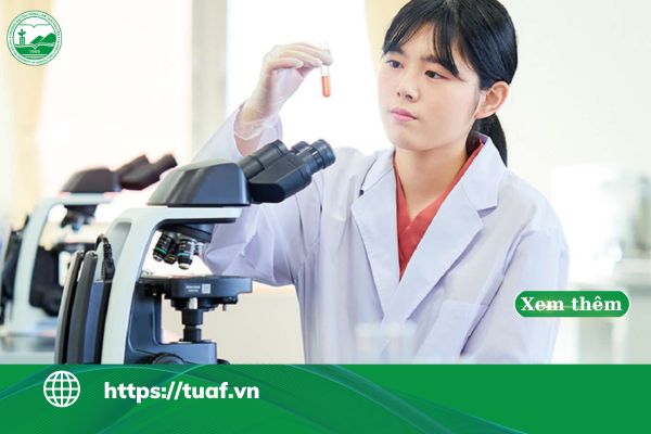 con gai co nen hoc nganh quan ly tai nguyen va moi truong