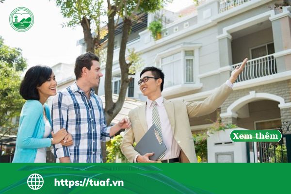 hoc bat dong san ra truong lam gi