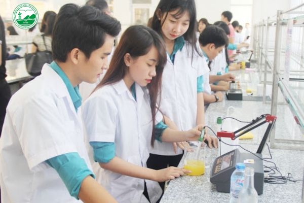 hoc ky thuat cong nghe thuc pham la gi