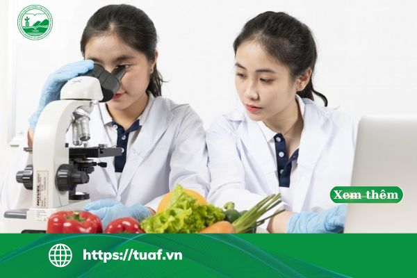 lien thong cong nghe thuc pham