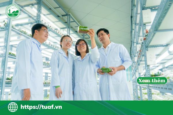 lien thong nong nghiep cong nghe cao