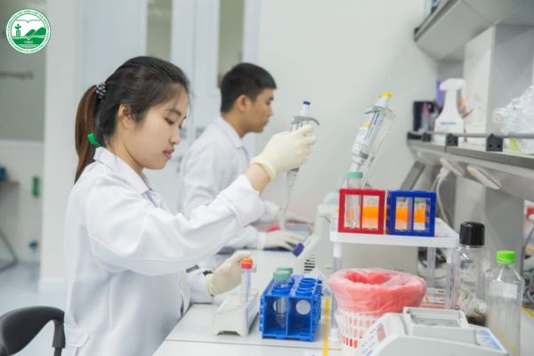 Phù hợp với tố chất và thế mạnh của phái nữ