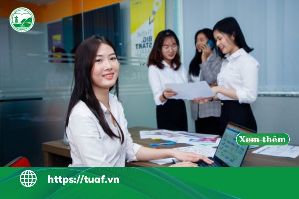 truong dai hoc bat dong san tai viet nam