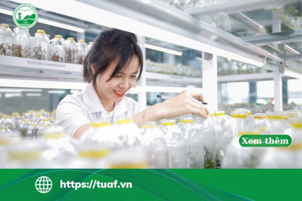 van bang 2 cong nghe thuc pham
