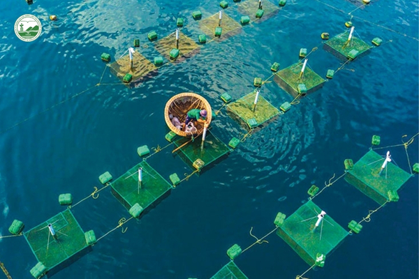 cong-nghe-cao-giup-giam-20-30%-chi-phi