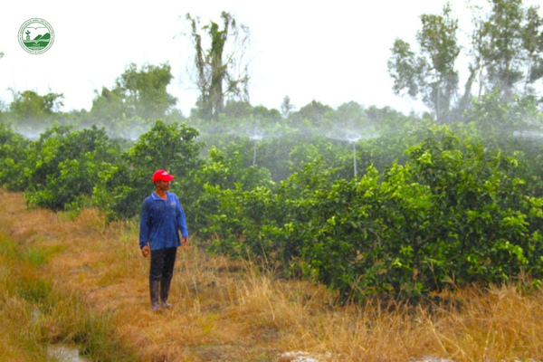 he-thong-tuoi-tu-dong-giup-vuon-chanh-phat-trien-dong-deu