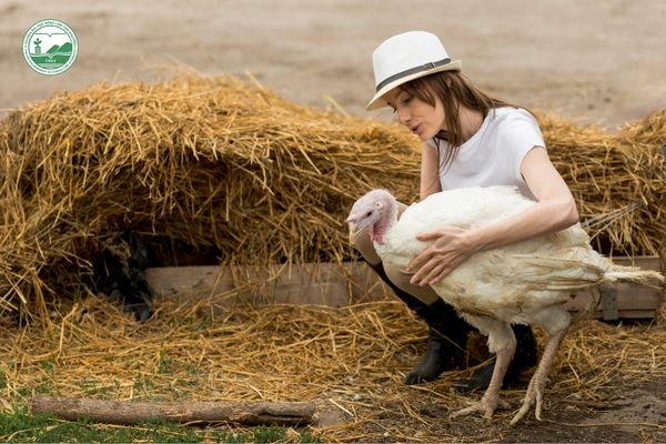 Đảm bảo an toàn sinh học và kiểm soát vận chuyển