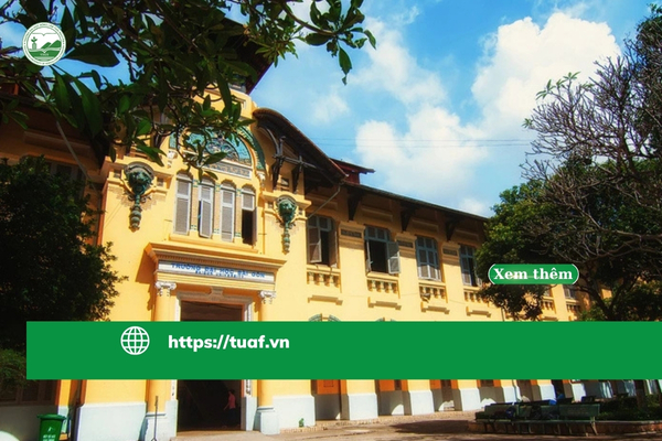 tphcm-du-kien-sap-nhap-hang-loat-truong-dai-hoc-cao-dang