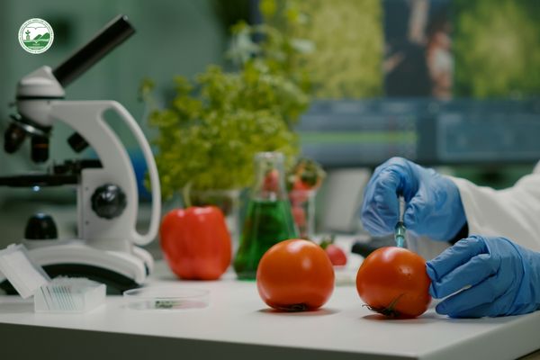 nhu-cau-cao-ve-nguon-nhan-luc-co-trinh-do-chuyen-mon-cao-trong-nganh-cong-nghe-thuc-pham